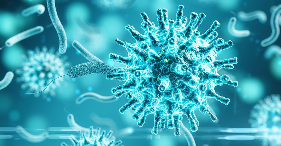 Coronavirus and bacteria
